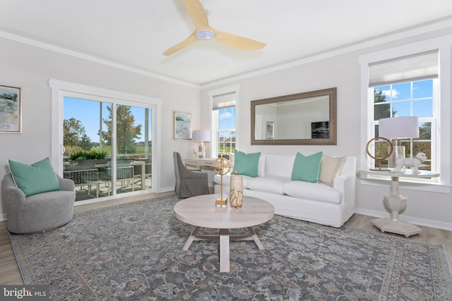 living room featuring hardwood / wood-style flooring, ceiling fan, ornamental molding, and a wealth of natural light