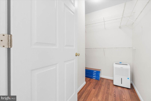 spacious closet with dark hardwood / wood-style floors