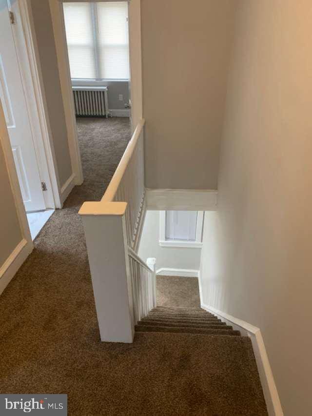 stairway with radiator and carpet floors