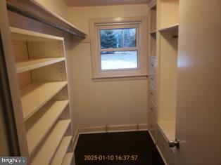 view of spacious closet