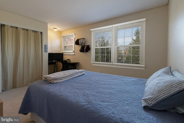 bedroom with carpet flooring