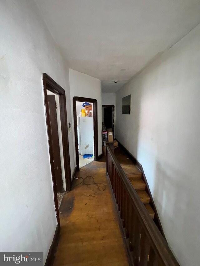 hall featuring dark hardwood / wood-style floors