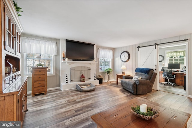 living room featuring a barn door, plenty of natural light, and light wood-type flooring