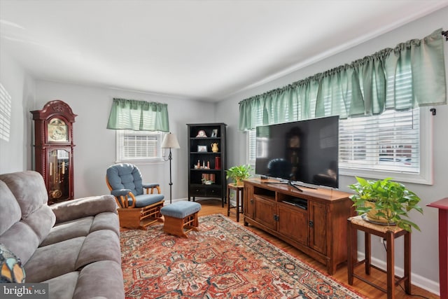 living room with wood-type flooring