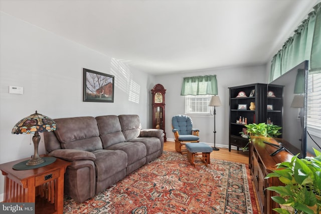 living room with hardwood / wood-style flooring