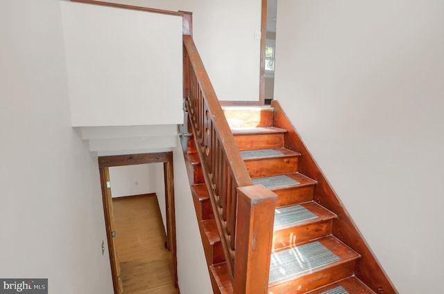 staircase featuring wood-type flooring