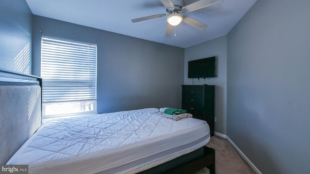 bedroom featuring carpet flooring, ceiling fan, and multiple windows