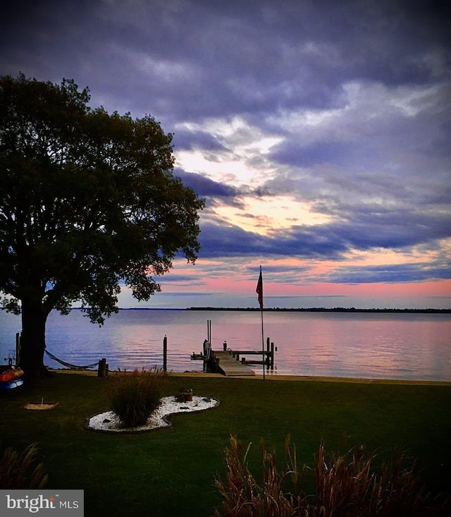 property view of water with boat lift and a dock
