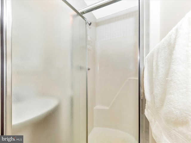 bathroom featuring a shower with shower door