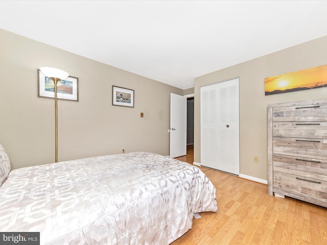 bedroom with wood-type flooring and a closet