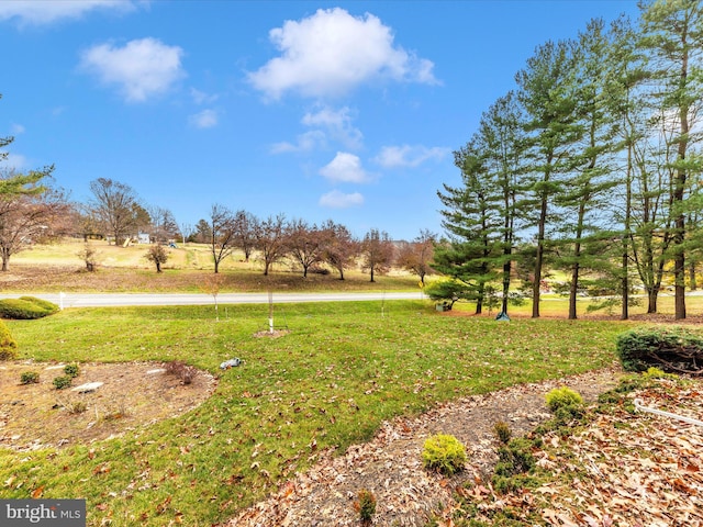 view of yard with a rural view