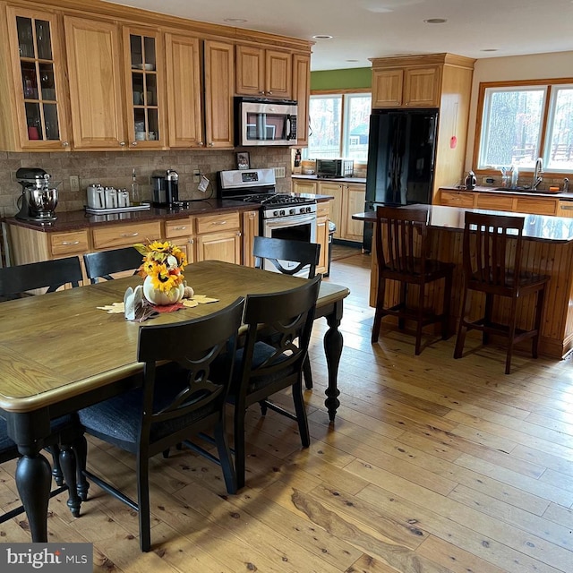 kitchen with plenty of natural light, sink, appliances with stainless steel finishes, and light hardwood / wood-style flooring