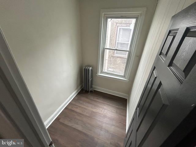 interior space with dark wood-type flooring, radiator, and a wealth of natural light