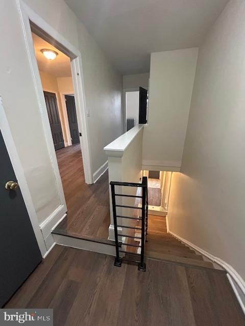 staircase with hardwood / wood-style flooring