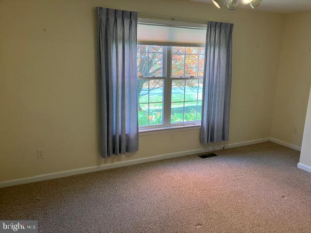 carpeted spare room featuring a healthy amount of sunlight