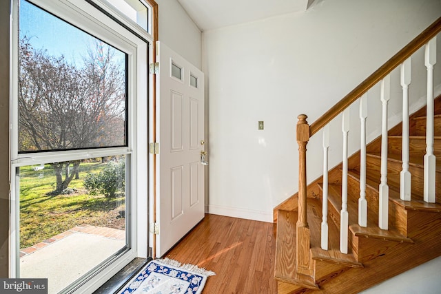 foyer entrance featuring hardwood / wood-style flooring