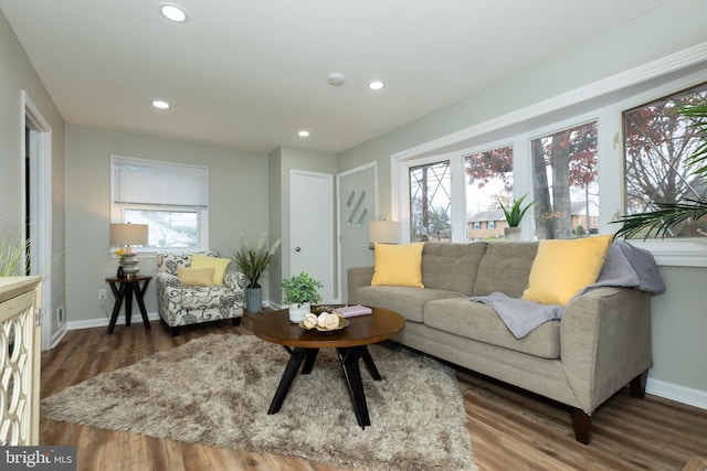 living room featuring dark wood-type flooring