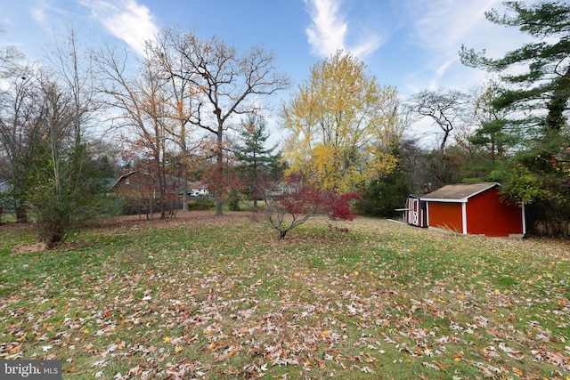 view of yard featuring a storage unit