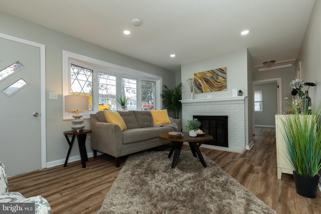 living room featuring a fireplace and dark wood-type flooring