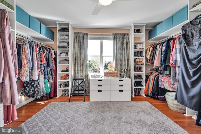 walk in closet with ceiling fan and wood-type flooring