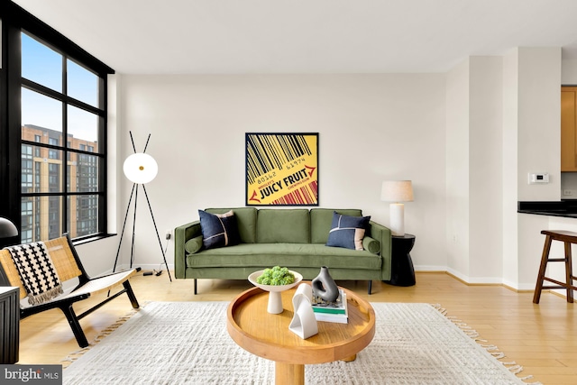 living room featuring light wood-type flooring