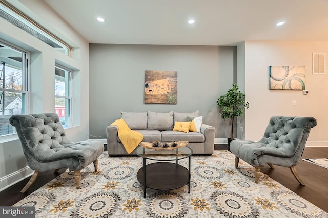 living room with hardwood / wood-style flooring