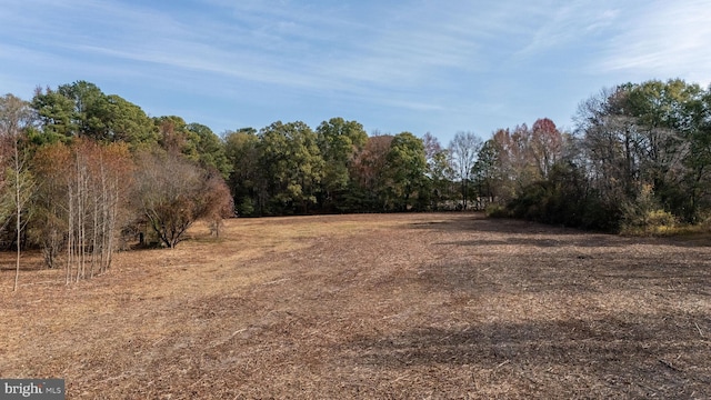 view of local wilderness