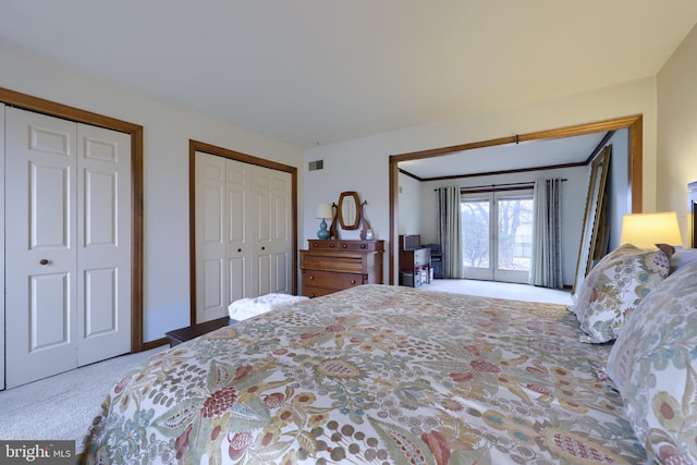 carpeted bedroom with multiple closets