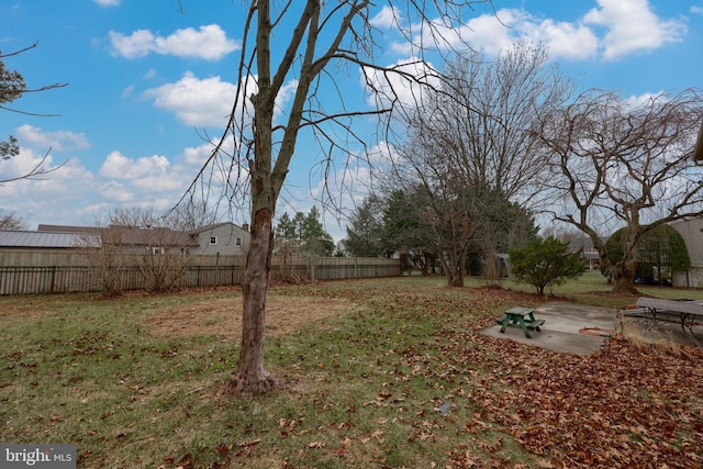 view of yard featuring a patio