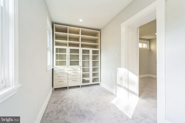 interior space with light colored carpet