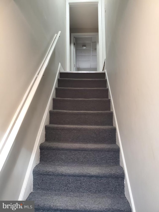 stairs with carpet flooring