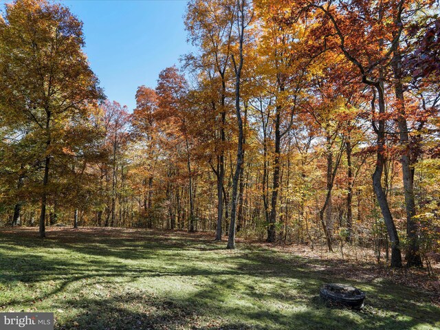 473 Potomacview Ln, Berkeley Springs, WV 25411