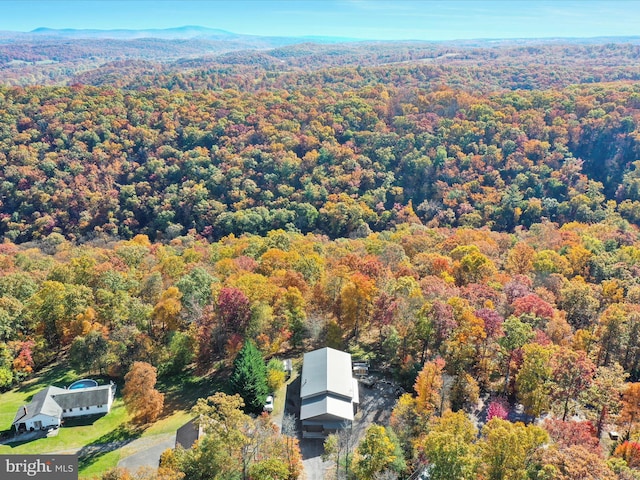 473 Potomacview Ln, Berkeley Springs, WV 25411