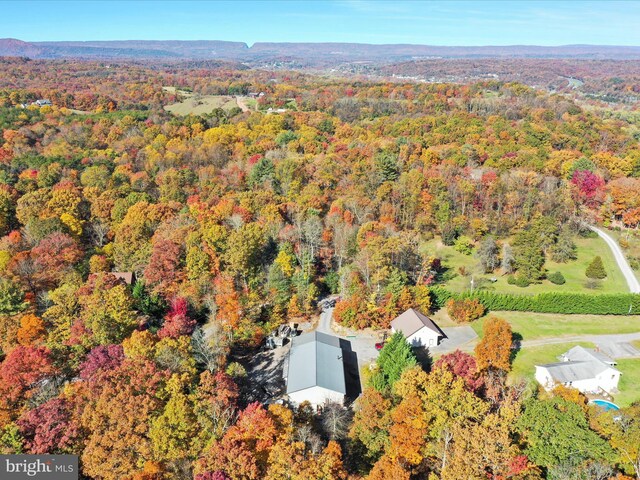 473 Potomacview Ln, Berkeley Springs, WV 25411