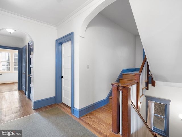 hallway with dark hardwood / wood-style floors and crown molding