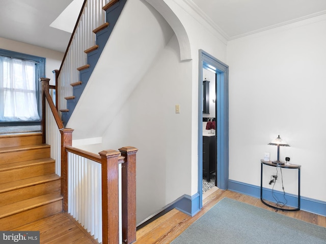 stairs with hardwood / wood-style flooring and ornamental molding