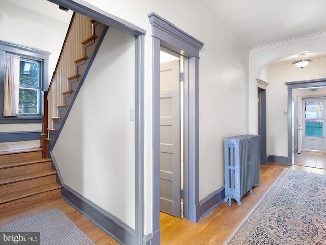 corridor featuring a wealth of natural light, light hardwood / wood-style floors, radiator, and crown molding