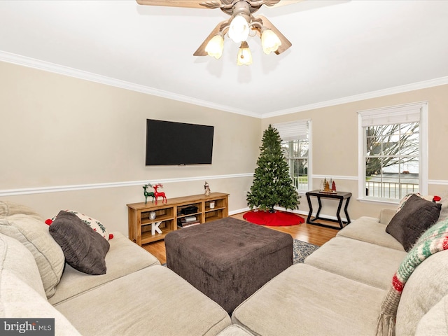 living room featuring ceiling fan, ornamental molding, and hardwood / wood-style floors