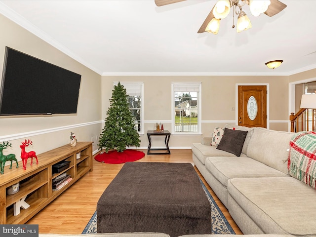 living room featuring ceiling fan, ornamental molding, and light hardwood / wood-style flooring