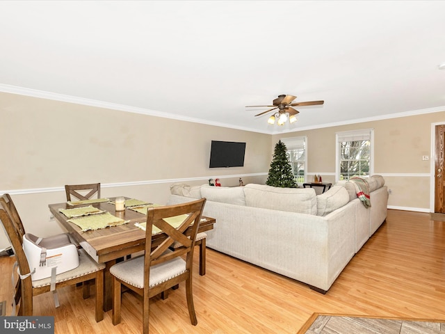 living room featuring ornamental molding, ceiling fan, and light wood-type flooring