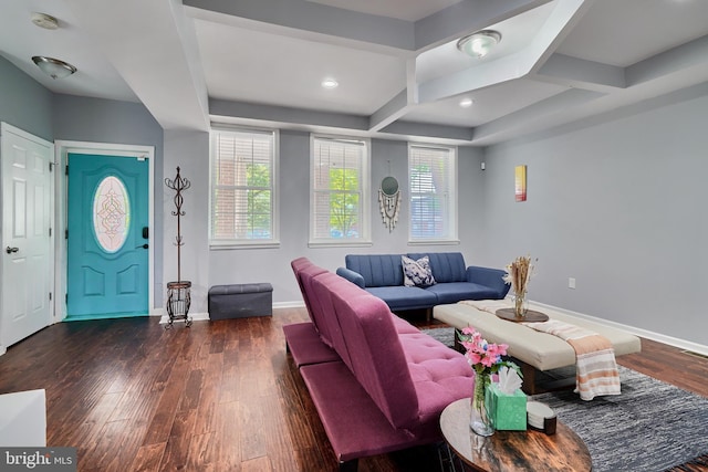 living room featuring dark hardwood / wood-style flooring