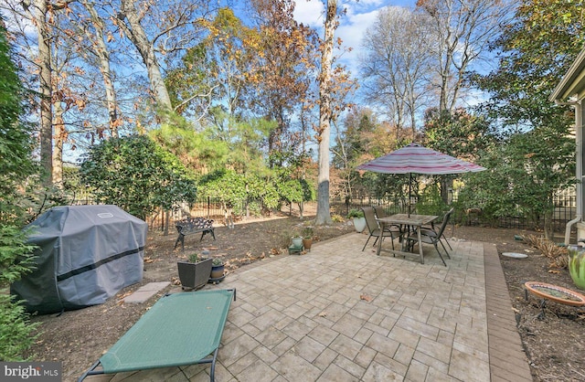 view of patio / terrace featuring area for grilling