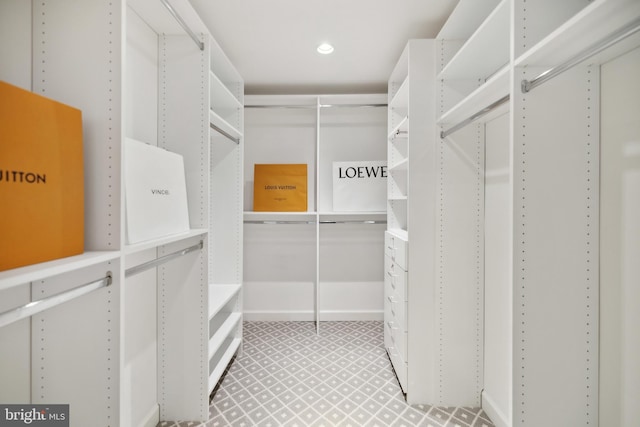 view of spacious closet