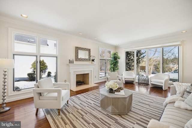 living room featuring crown molding and hardwood / wood-style floors