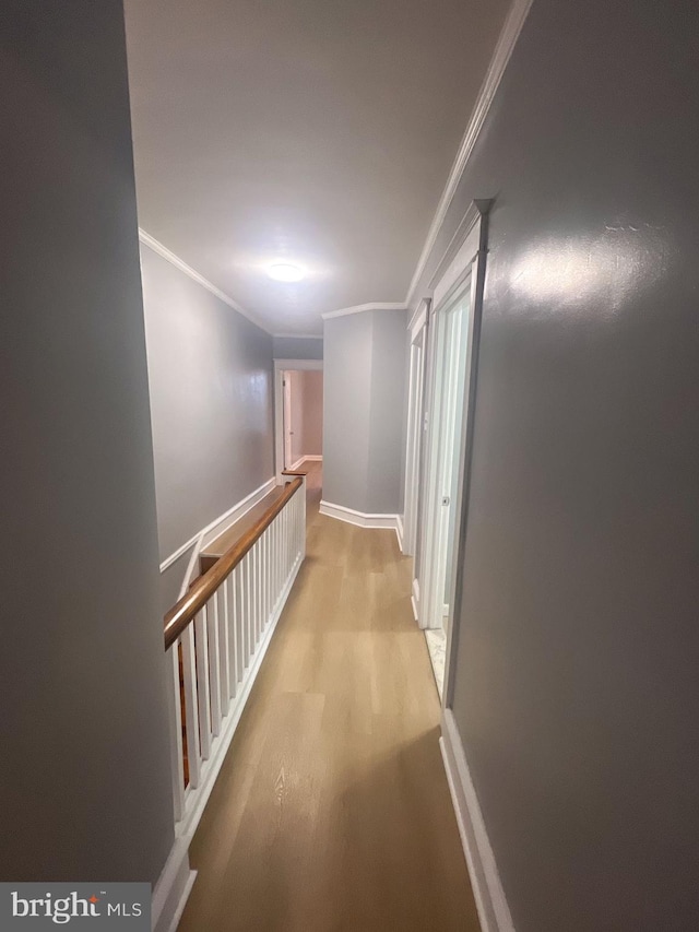 hallway featuring crown molding and light wood-type flooring