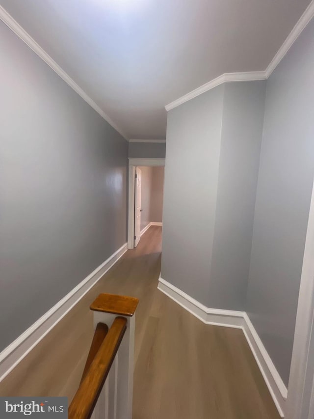 hallway with dark hardwood / wood-style floors and crown molding