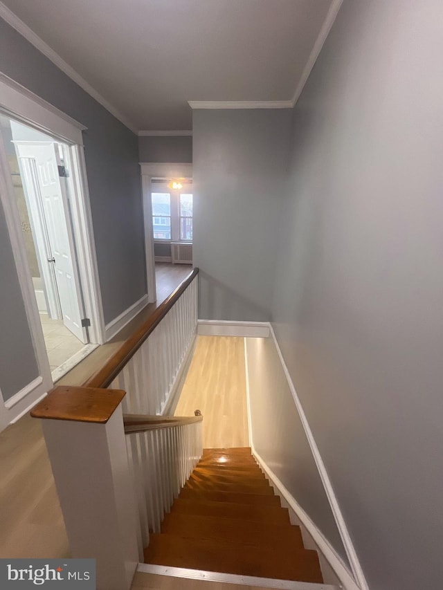 staircase featuring hardwood / wood-style floors and crown molding