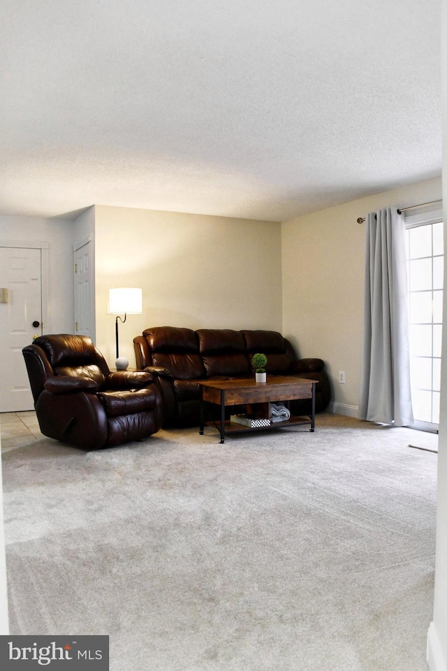 living room with light colored carpet