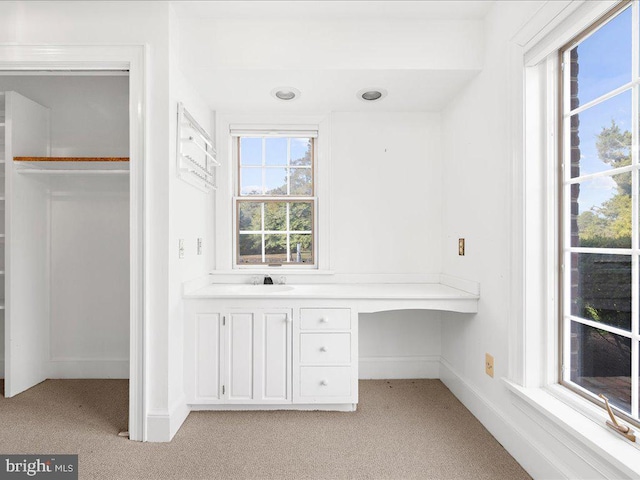 bathroom featuring sink