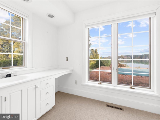 bathroom with vanity, a water view, and a healthy amount of sunlight